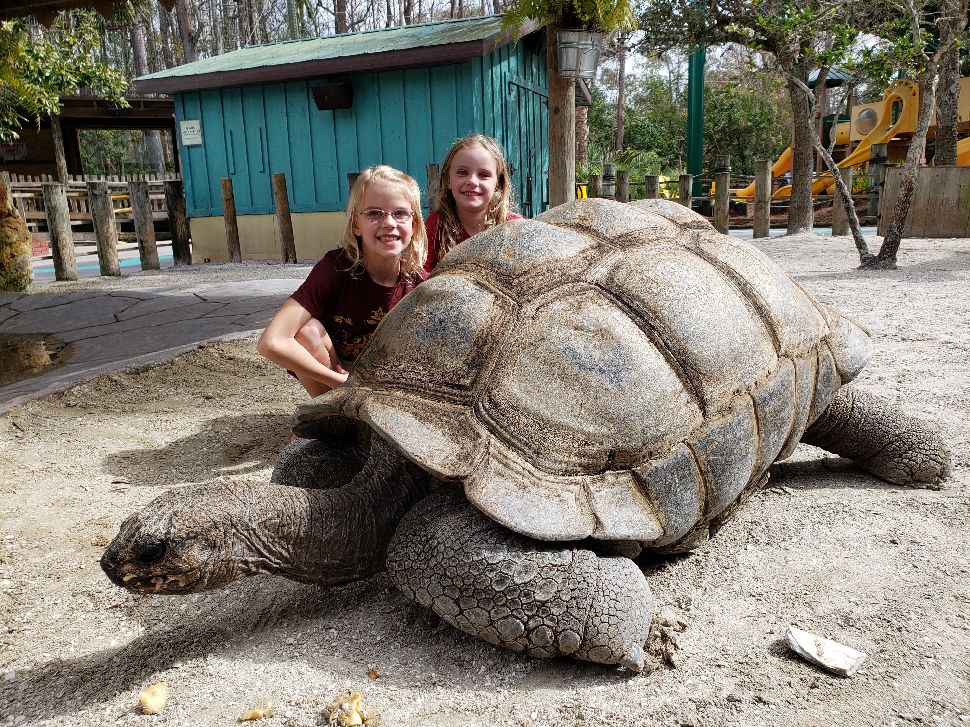 Gatorland